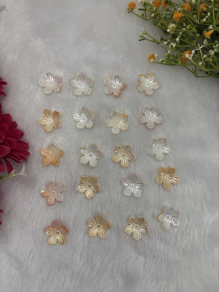 Rainbow Flower 2 - 10gm