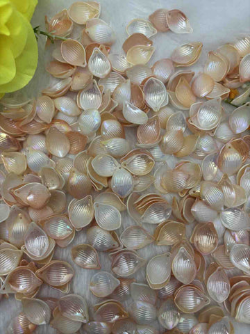 Rainbow Lotus 5 - 10gm
