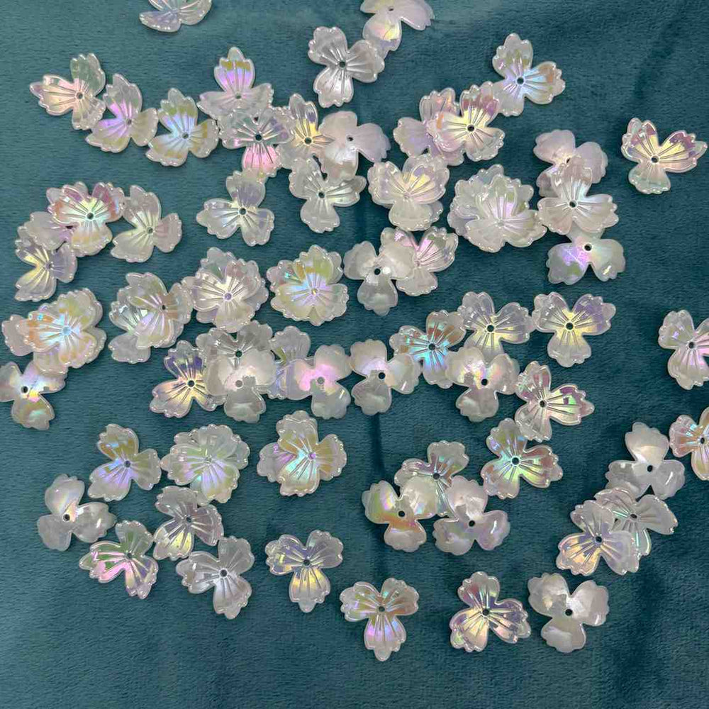 White Rainbow Flower D1 - 10 gm