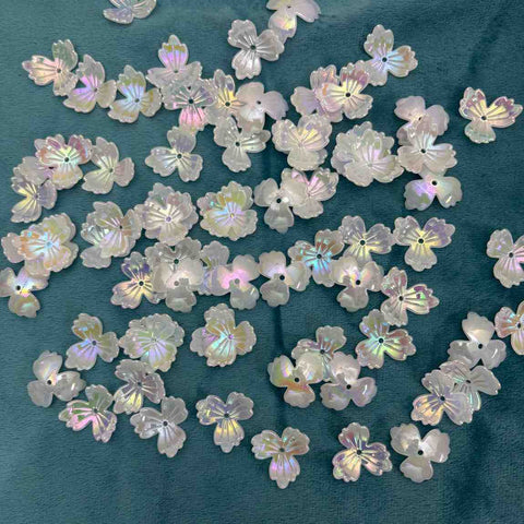 White Rainbow Flower D1 - 10 gm