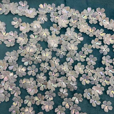 White Rainbow Flower D2 - 10 gm