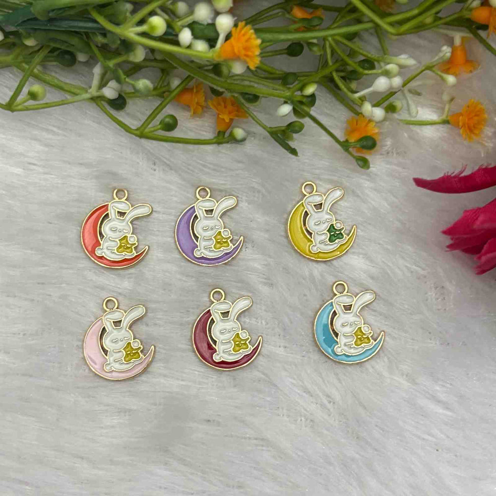 Enamel Charms D11 - 1 Piece