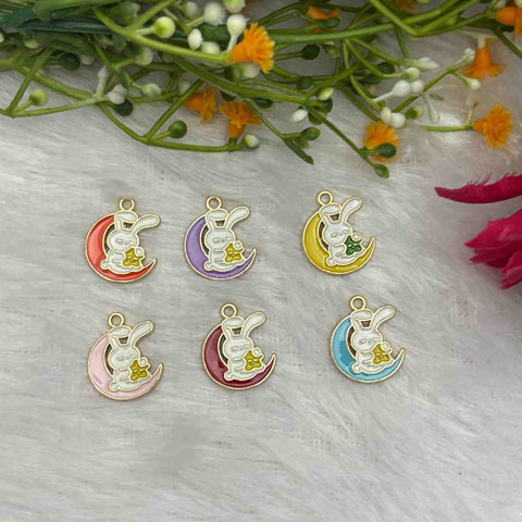 Enamel Charms D11 - 1 Piece