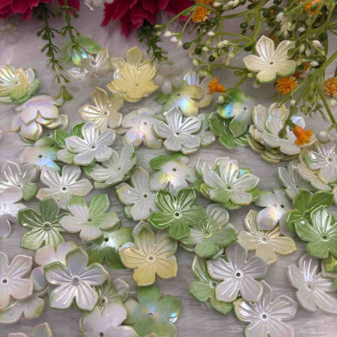 Rainbow Flower 9 - 10 gm