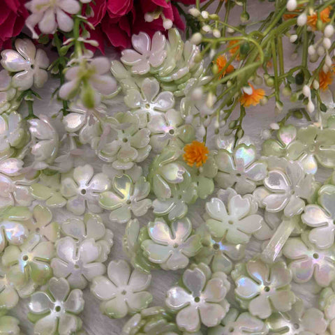 Light Green Rainbow Type2 - 10 gm