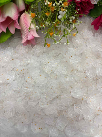 White Shell - 10 gm