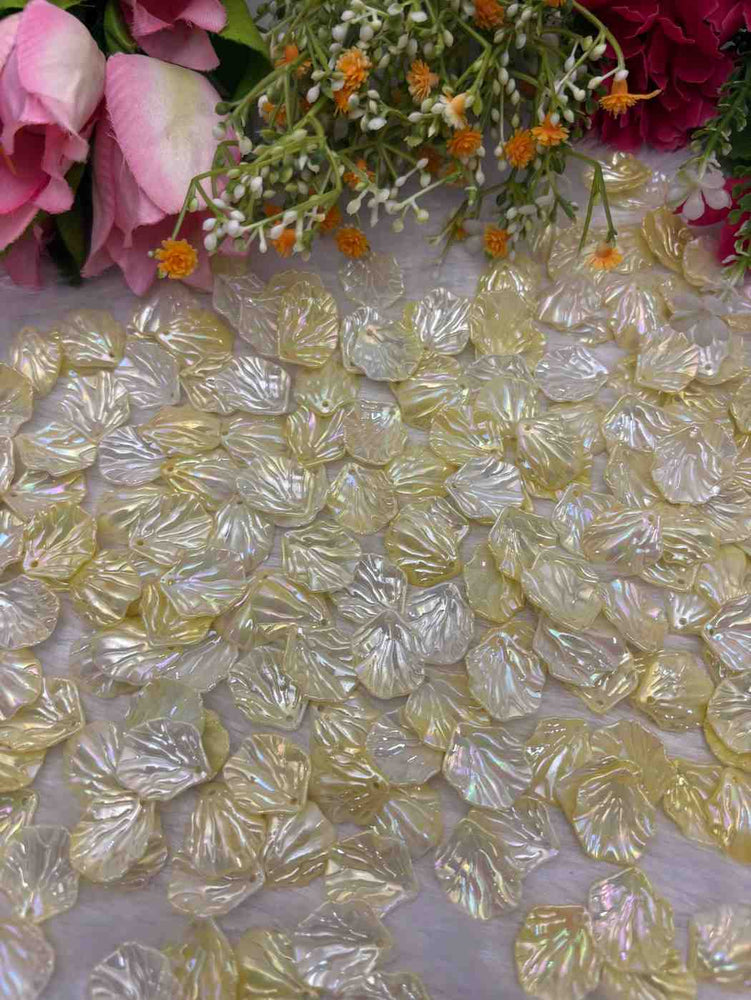 Shells Design 36 - 10 gm