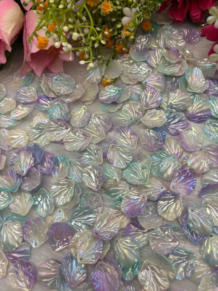 Shells Design 37 - 10 gm