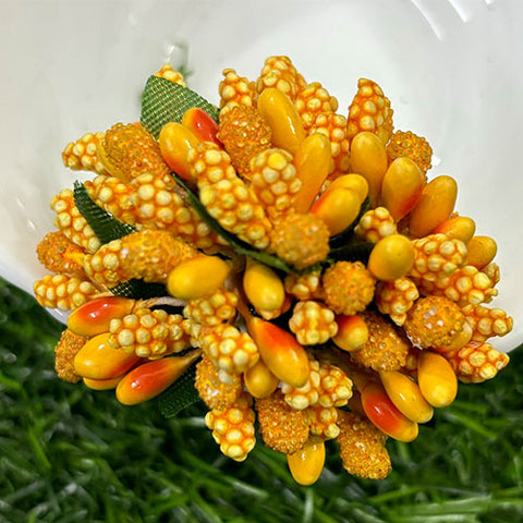 Mango Yellow Pollen