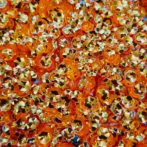 Orange Cup Sequence - 10gm