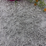 Pins and Ear Hooks - 10 Gm
