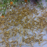Pins and Ear Hooks - 10 Gm