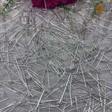 Pins and Ear Hooks - 10 Gm