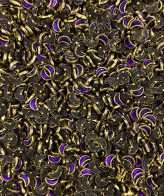 Violet Moon Glossy - 10gms
