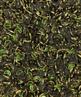 Light Green Moon Glossy - 10gms