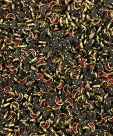 Red Moon Glossy - 10gms