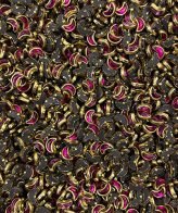 Rani Pink Moon Glossy - 10gms