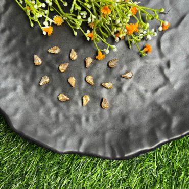 Gold Thilagam Crystal