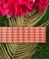 2 .12 - Size Sticker - 1 Sheet