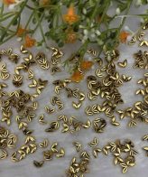 V Charm Gold - 10 pcs