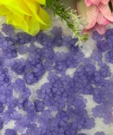 Violet Flower Type 7 - 10Gm