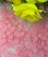 Baby Pink Flower Type 7 - 10Gm