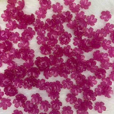 Rani Pink Type2 - 10 gm